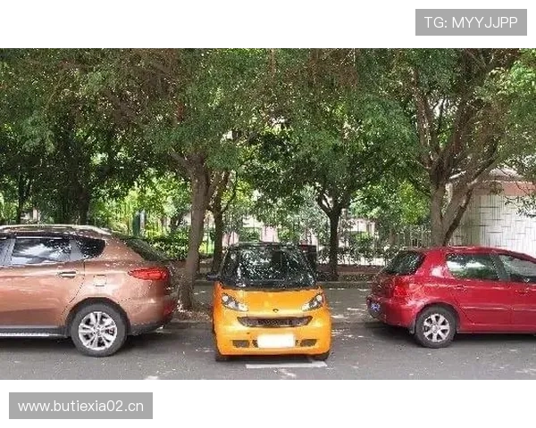 季丽萍居然跟咱邻居家的买菜车差不多价，哪里来的冠军光环？